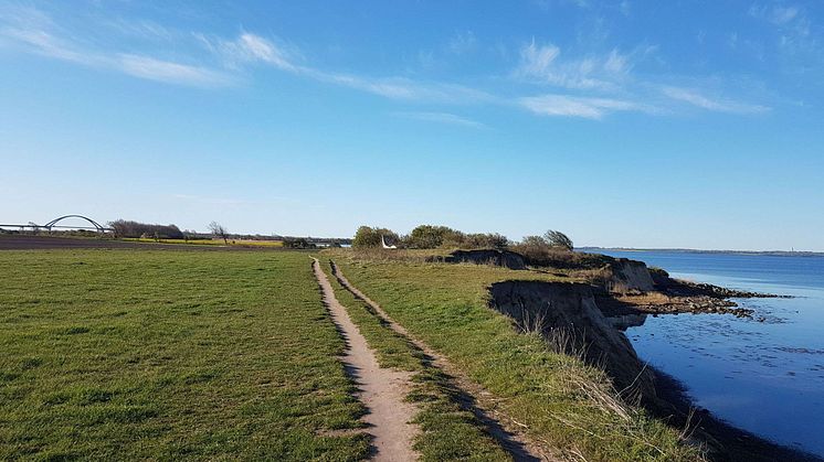 Einmal mit dem Fahrrad rund um die Insel © Tourismus-Service Fehmarn_Sina Schweyer