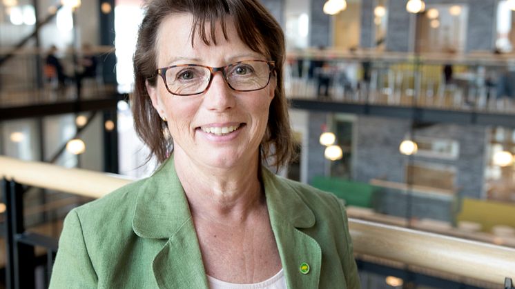 Angela Everbäck (MP), ledamot i regionfullmäktige och tidigare ordförande i demokratiberedningen.