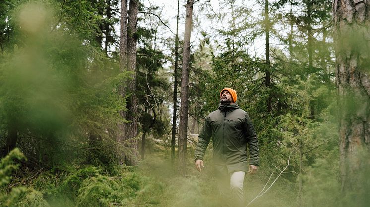DEST_SWEDEN_THEME_HIKING_GettyImages-1326609984_Universal_Within usage period_90383
