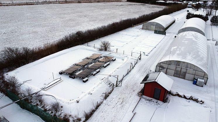 Sunsurf Solars flytande solcellsanläggning - Säve plantskola