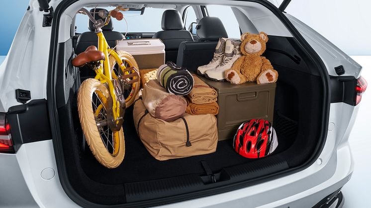 Trunk&Props-2.jpg