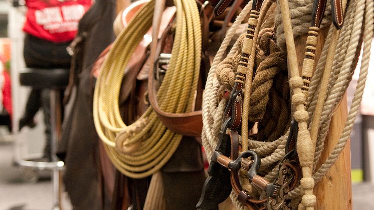 EuroHorse Western 2