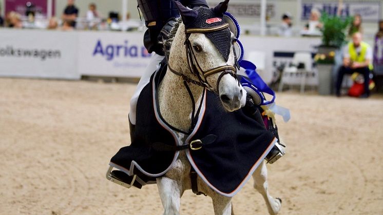 Finalen av den populära tävlingen Agria Pony Trophy går av stapeln under Jönköping Horse Show. 