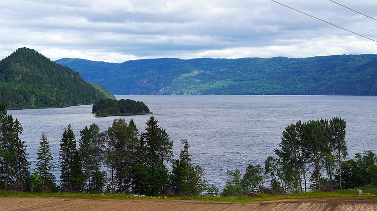 Holsfjorden