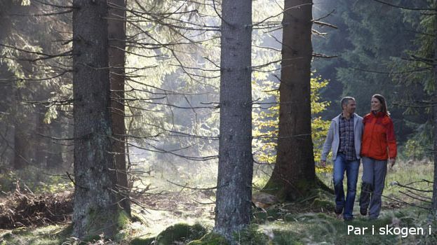 Par i skogen, © TourismusMarketing Niedersachsen GmbH / Peter Hamel