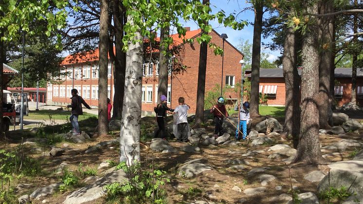 Klass 1 från Stöcke skola plockar skräp.