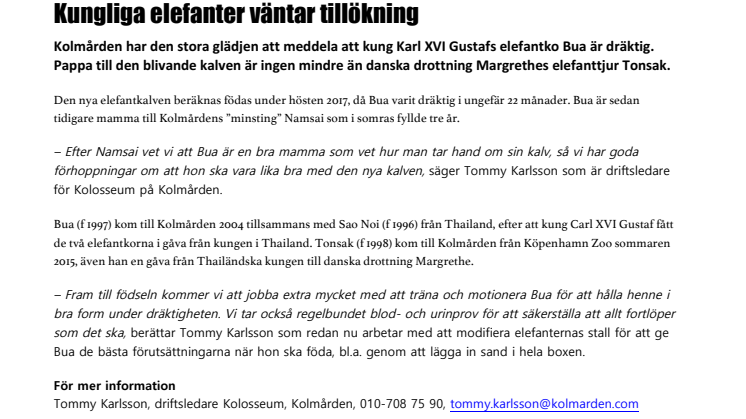 Kungliga elefanter väntar tillökning