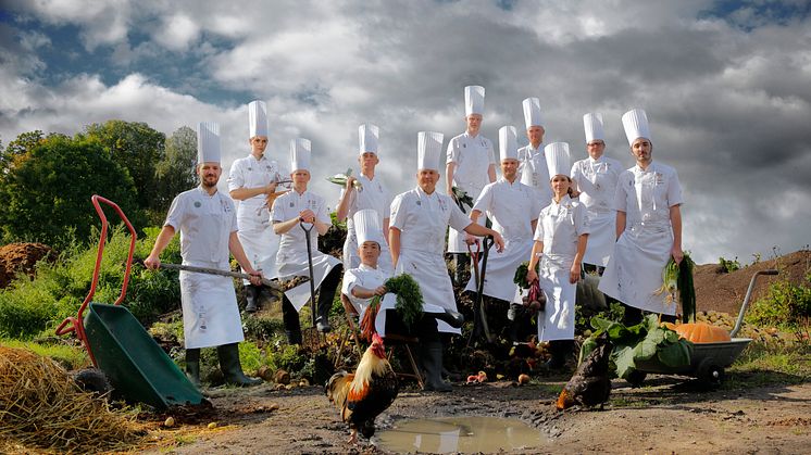 Svenska Kocklandslaget, pressbild