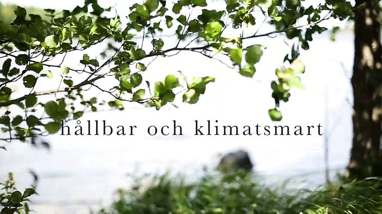 Pure Effect - rent på riktigt