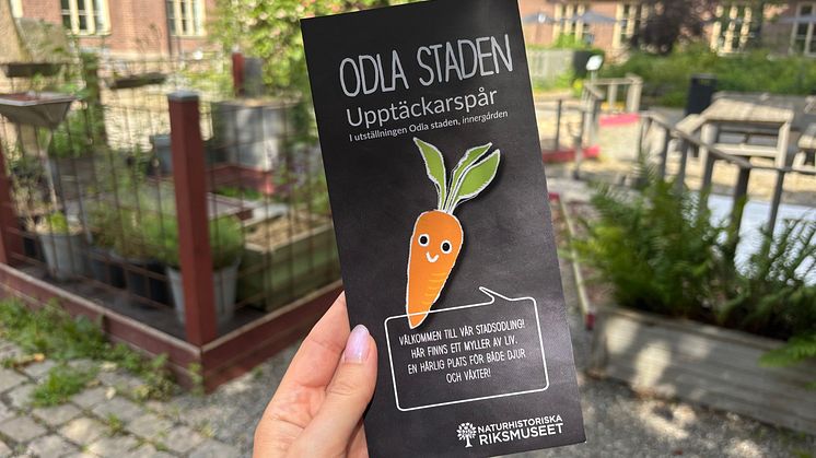Upptädckarspår i museets stadsolding