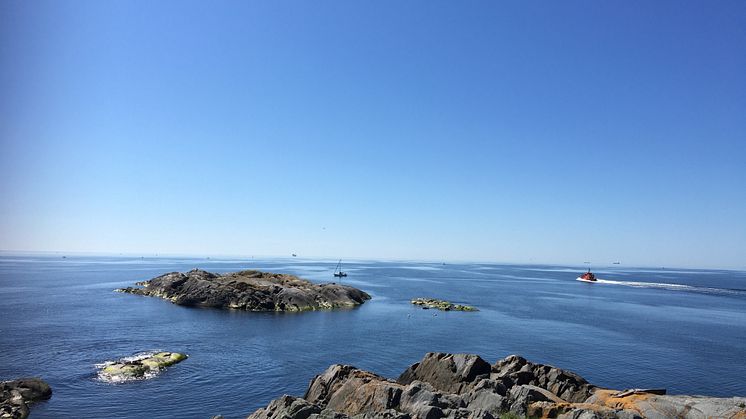 Östersjövy från Öja. Foto: Ann-Katrin Hallin, SLU