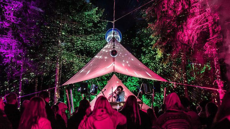 Skogsfestivalen Into the woods i Unnaryd i Halland