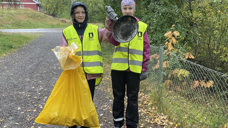 Falu konståkningsklubb beskuren