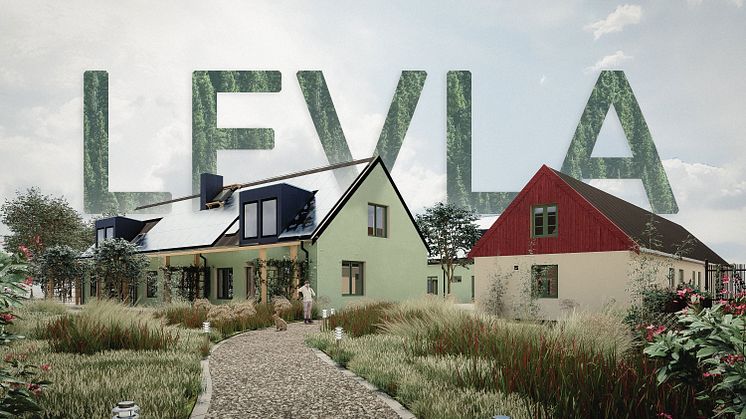 levla-thumbnail