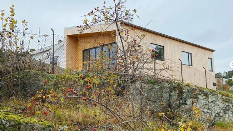Elfa - Fjeldborg - 1.jpg