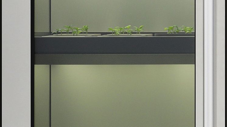 LG Indoor Garden