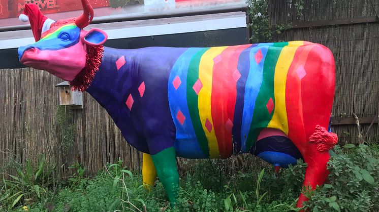 Silent night, holy cow at Cricklewood 1