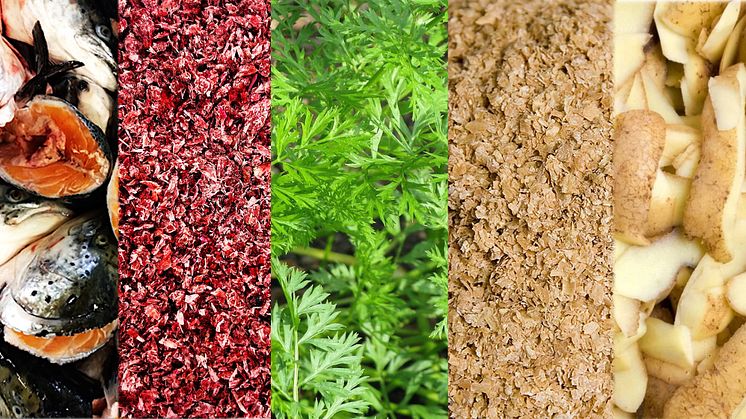 2025-03-19 Seminar: From Side Streams to Main Streams – a Shift towards Sustainable and Resilient Food Systems