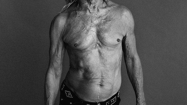 Iggy Pop till Gröna Lund i sommar