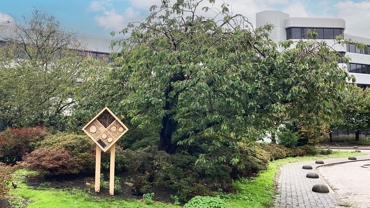 Image rights: Aroundtown – Insect hotel in diverse habitat