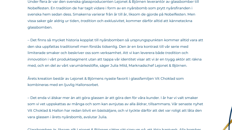 PM Nyårsbomb 241210.pdf