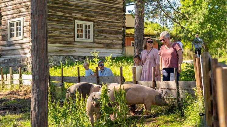 2022_06_29_Glomdalsmuseet_Sommer_HansHaug_DSC01713