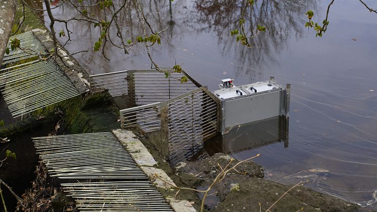 fiskräknare
