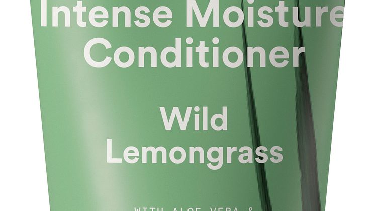 BLOWN AWAY Conditioner