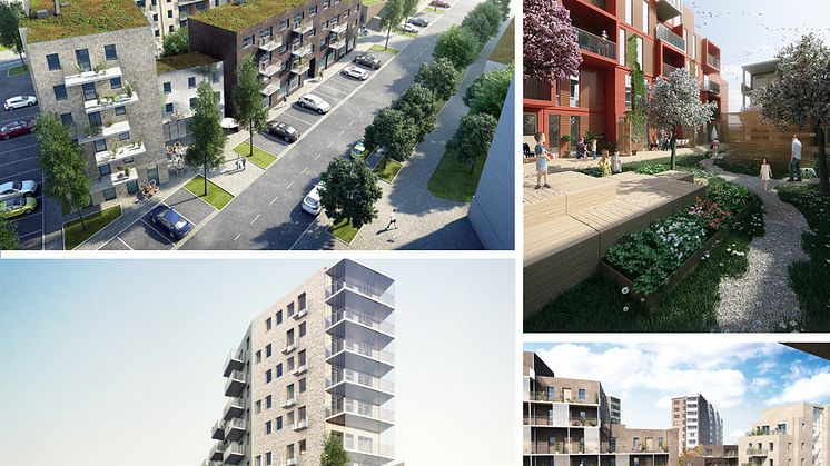 Mandolingatan 2021 – nya möten, nya möjligheter