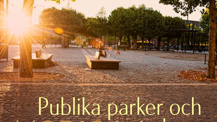 Publika parker 1080x1080 m txt high