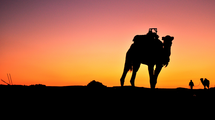 South of Tunisia Mitchitta Getty Images.png