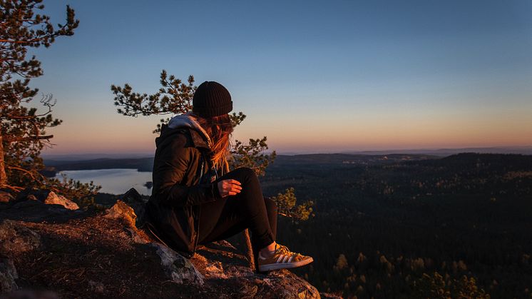 Ärtknubben Dalarna Foto Anna Holm