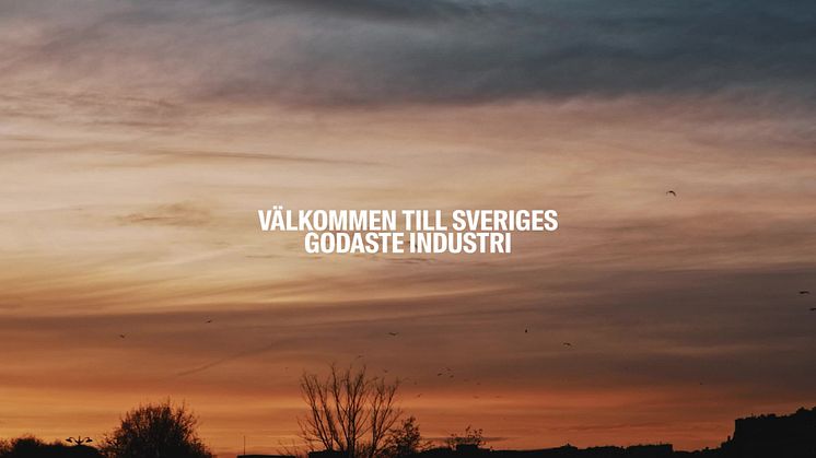 Konceptfilm för Livsmedelsföretagens Tiktok-kampanj CO-CEO