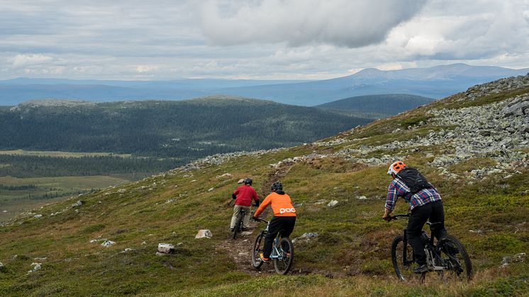 FotoEmmaEdejern_RedAnetteAndersson_03383_HIGHRES.jpg