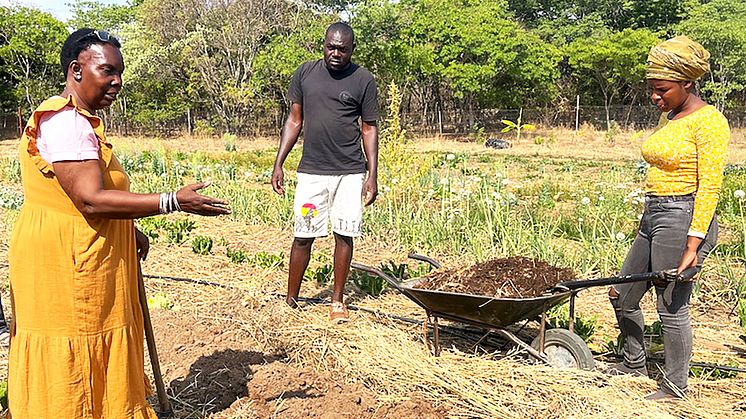 Tagung für Ausbildnerinnen und Ausbilder in biodynamischer Landwirtschaft in Zimbabwe (Kufunda Village) 2022 (Foto: Maaianne Knuth)