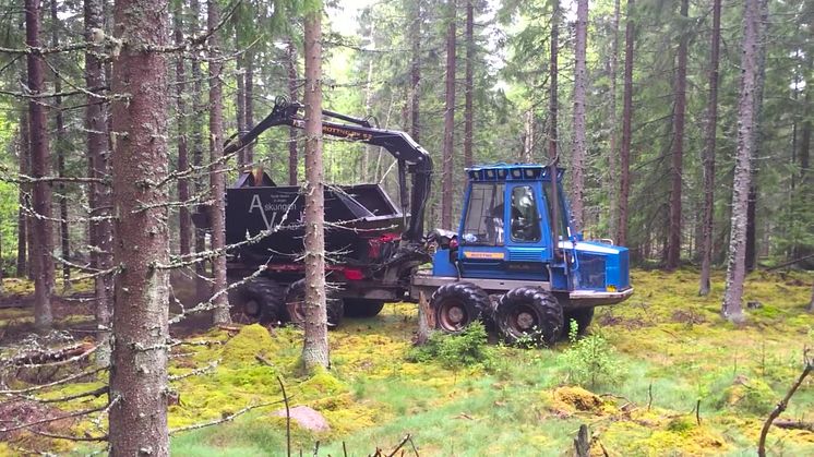 Så går det till och varför återför vi askan