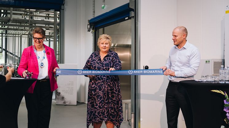 Fabrikk_foto aker biomarine og per haaheim-17
