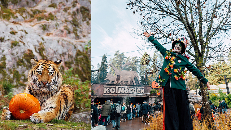 Halloween Kolmården 2