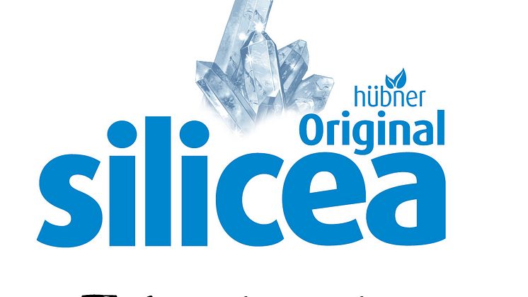 silicea logo 2022_med payoff