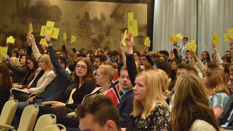 ELSAs International Council Meeting ägde rum i Sarajevo mellan 22 och 29 oktober 2017.