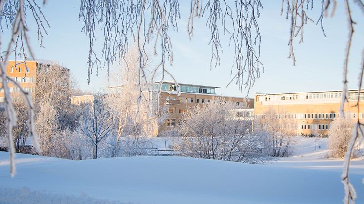 Vinter Campus Umeå universitet