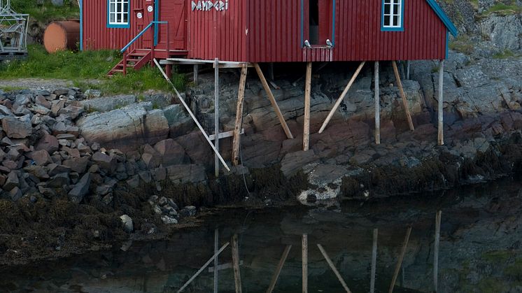 Kalanmaksaöljyn museo, Lofootit, Möller