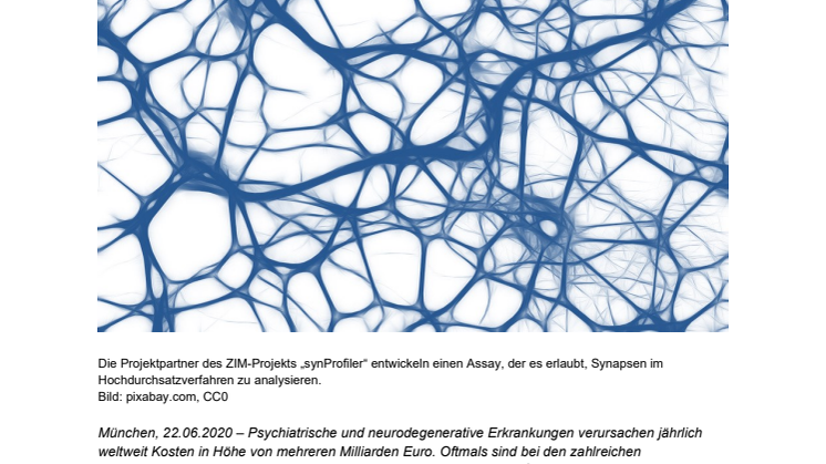 Synapsen im Schnelldurchgang screenen