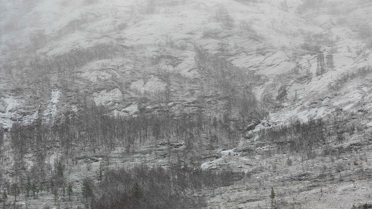 SNÖ OCH REGN SKALL PASSERA NO. 2