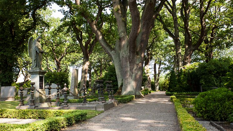 Höganäs kyrkogård