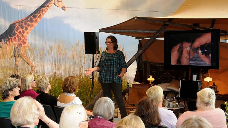 Studiefrämjandet på Bok & bibliotek 2011