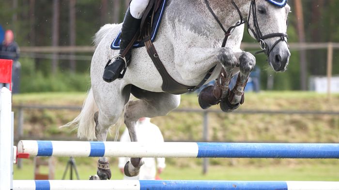 Nu är det klart vem som fått wild card till Falsterbo Horse Show