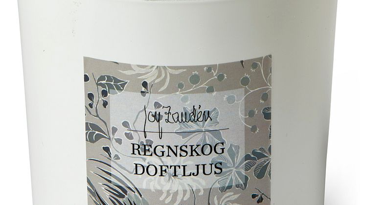 Regnskog