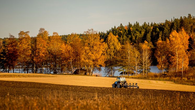 Nu bjuder vi in invånarna i Norrtälje kommun till dialogmöten för att stärka landsbygden och skärgården