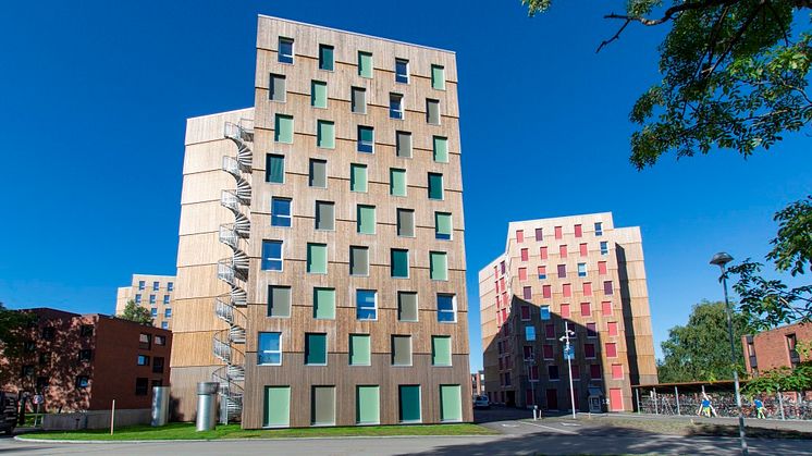 Moholt 50 | 50, Trondheims neuestes Studentenwohnheim, ist Europas größtes Cross Laminated Timber (CLT). Das stylische und elegante Bauwerk hat eine nachhaltige Kebony Fassade 
